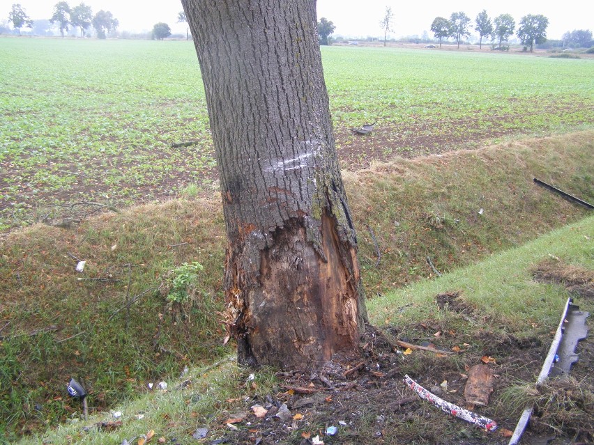 Dwie osoby ranne w wypadku koło Starego Pola. Samochód uderzył w drzewo [ZDJĘCIA]