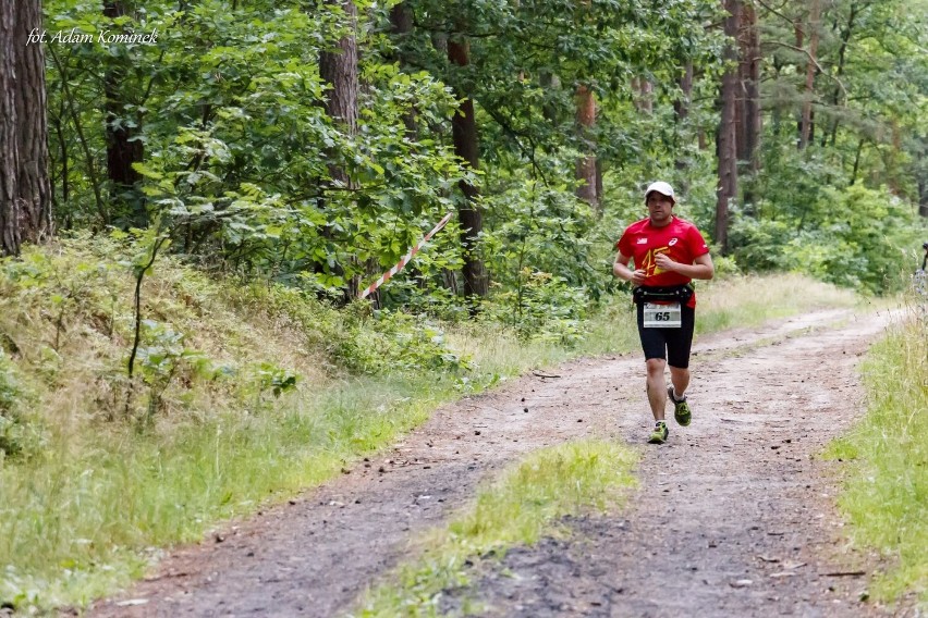 I Maraton Leśny Kwidzyn