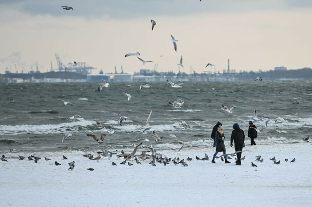 Choć było zimno, chętnych do spacerowania nad morzem w Sopocie w niedzielę 7 stycznia nie brakowało.