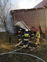 Pożar w stolarni w Babach (gm. Moszczenica). Z ogniem walczyło 7 zastępów