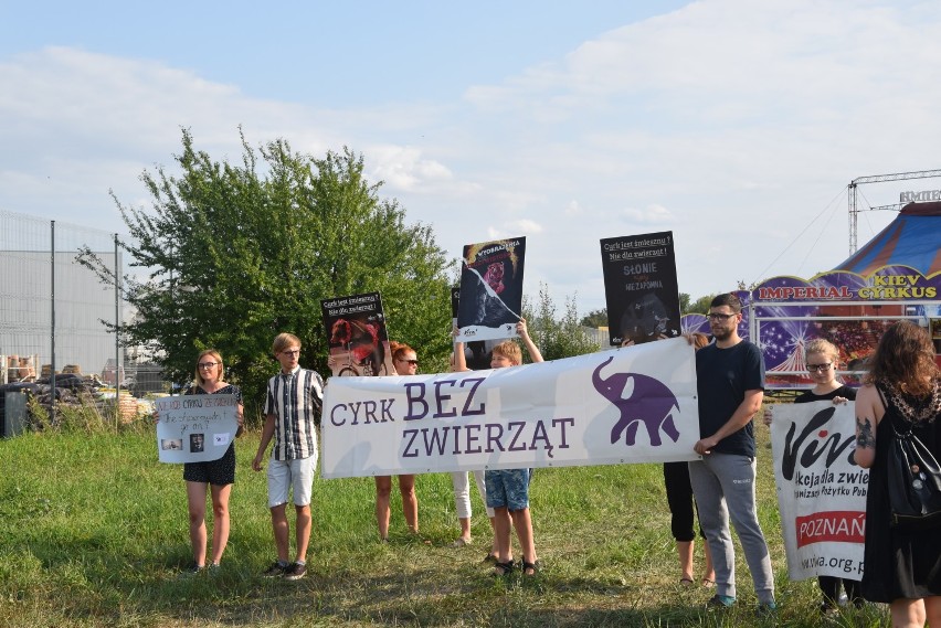 Obrońcy zwierząt będą protestować pod cyrkiem Zalewski w Kościanie
