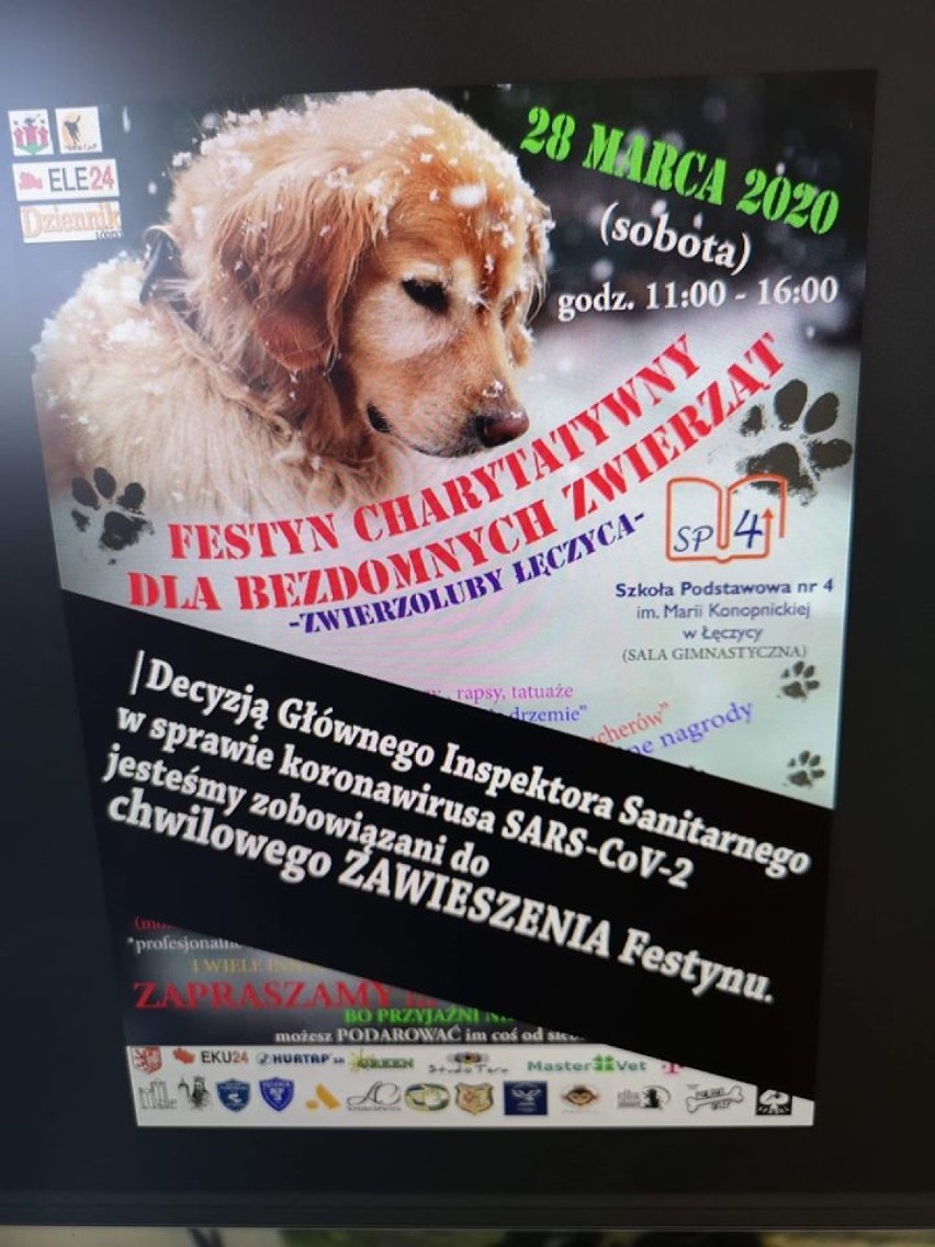 Festyn dla bezdomnych zwierząt w Łęczycy został ZAWIESZONY