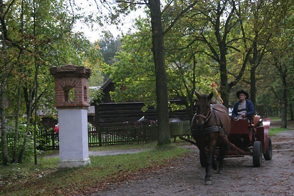 Skansen można zwiedzać podróżując bryczką.