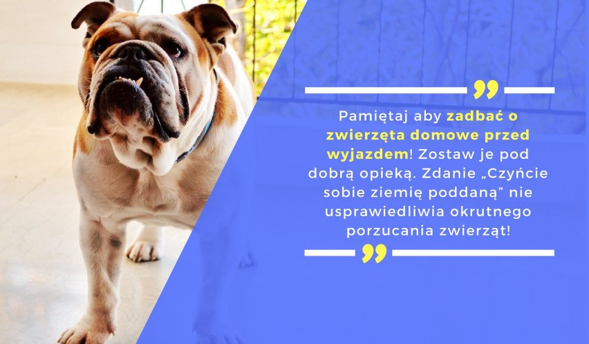 Pamiętaj aby zadbać o zwierzęta domowe przed wyjazdem!...