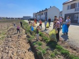 Mieszkańcy Pleszewa wzięli sprawy w swoje ręce i posprzątali swoje osiedle! To się nazywa wspólna integracja w szczytnym celu