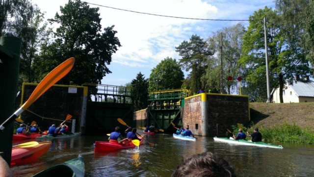 Kajakowe spływy cieszą się coraz większą popularnością - tu spływ z Malborka do Sztumu