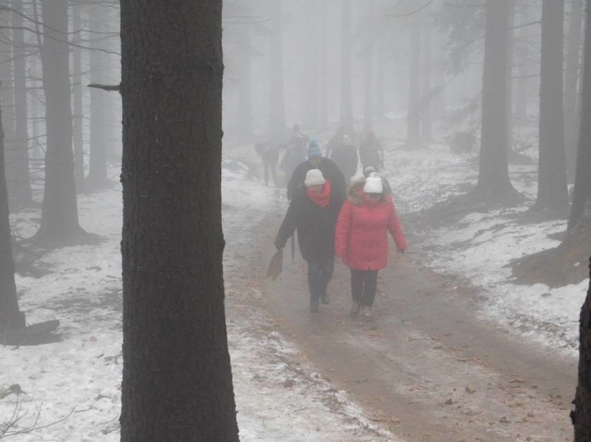 Byliście na wieży widokowej na Trójgarbie? Cudowne miejsce, wspaniałe widoki [ZDJĘCIA]