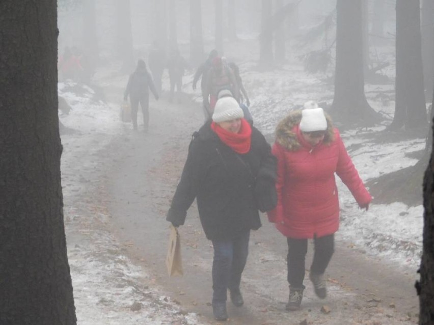 Byliście na wieży widokowej na Trójgarbie? Cudowne miejsce, wspaniałe widoki [ZDJĘCIA]