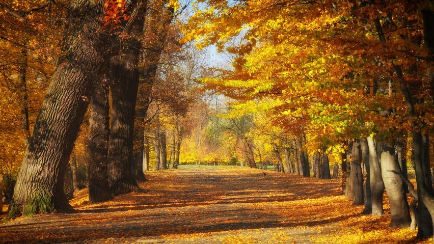 Park Miejski jest wspaniały w każdej porze roku, chociaż...