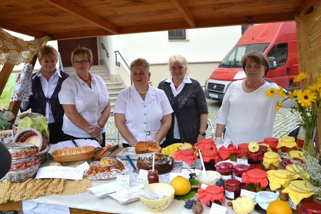 Festiwal Organizacji Pozarządowych na Zamku Piastowskim