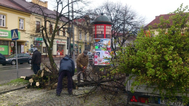 Pierwsze drzewa przy bocheńskim Rynku usunięto od strony ulicy Kazimierza Wielkiego