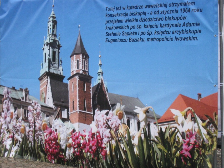 Wystawa z okazji beatyfikacji Jana Pawła II w centrum Kutna [ZDJĘCIA]