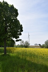 Farma wiatrowa w Słomowie. Ogromne wiatraki wpisały się w krajobraz powiatu obornickiego