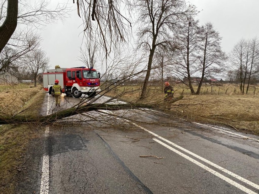 Wichura przeszła nad Częstochową i powiatem częstochowskim. 127 interwencji straży pożarnej