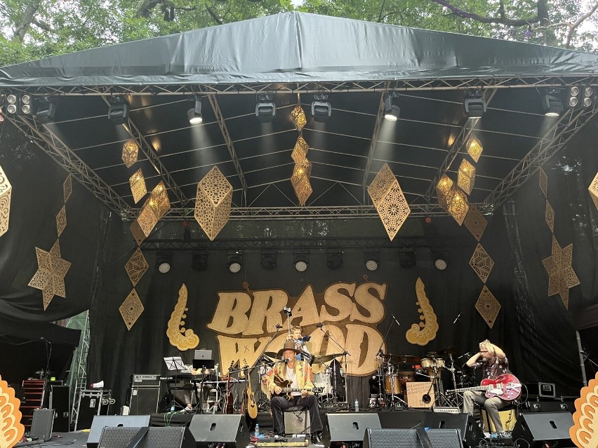 Brasswood Festiwal. Wyjątkowa impreza dla fanów dobrej muzyki i pięknej przyrody. Sprawdź, co się działo! [ZDJĘCIA, WIDEO]