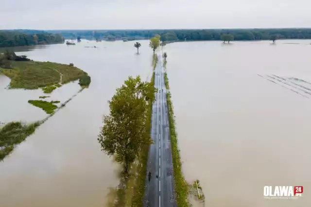 Droga Oława - Jelcz - Laskowice