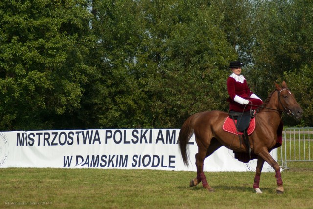 X Mistrzostw Polski Amazonek w Damskim Siodle odbyły się w dniach 6 - 7 września 2014 r. w Skansenie w Kolbuszowej
fot. A. Szafirska