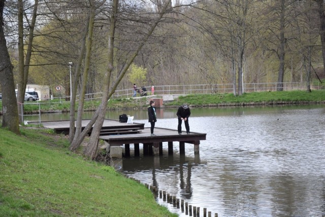 Na spacer z psem, na rower, a nawet na... ryby. Wagmostaw i Dolina Gęśnika w ostatni weekend znów cieszyły się popularnością wśród mieszkańców. Sporo z nich zdecydowało się na odpoczynek właśnie w tych punktach miasta. 

Zielonogórski Wagmostaw i Dolina Gęśnika, która znajduje się nieopodal, bo po drugiej stronie ulicy Sulechowskiej, cieszą się sporym zainteresowaniem spacerowiczów, rowerzystów, miłośników odpoczynku nad wodą. W weekend chętnych, by odwiedzić to miejsce, nie brakowało. 

Wideo: Park linowy w Dolinie Gęśnika znów jest otwarty dla chętnych: 