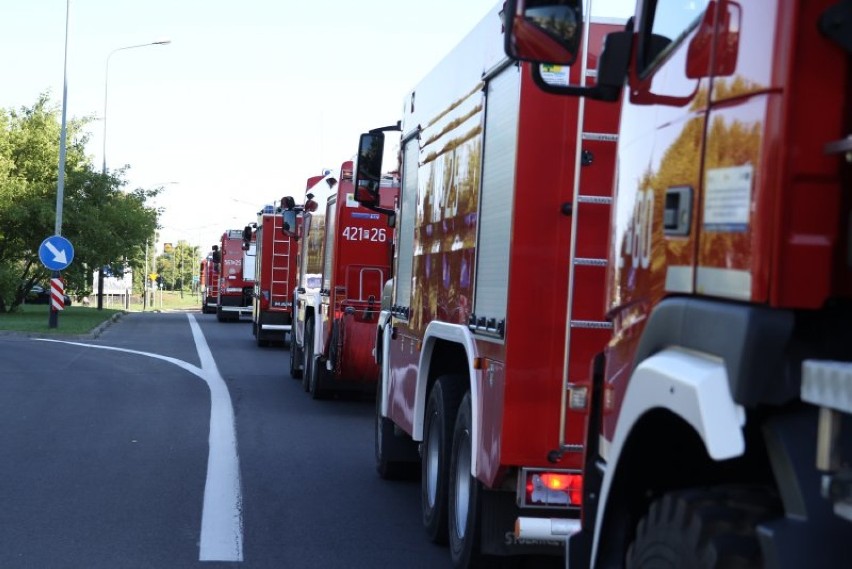 Warszawscy strażacy w Szwecji. Mamy wideo z niezwykłego powitania polskich bohaterów [WIDEO]