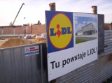 Ul. Willowa: Nowy „Lidl” zaprasza za trzy miesiące