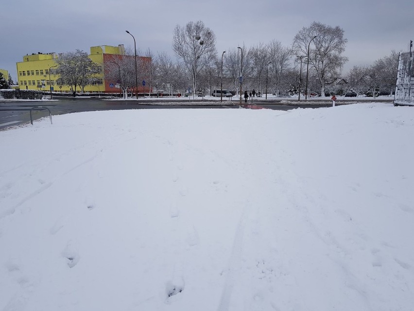 Tak wygląda chodnik na alei Solidarności w Opolu. Dlaczego drogowcy go nie odśnieżyli? 