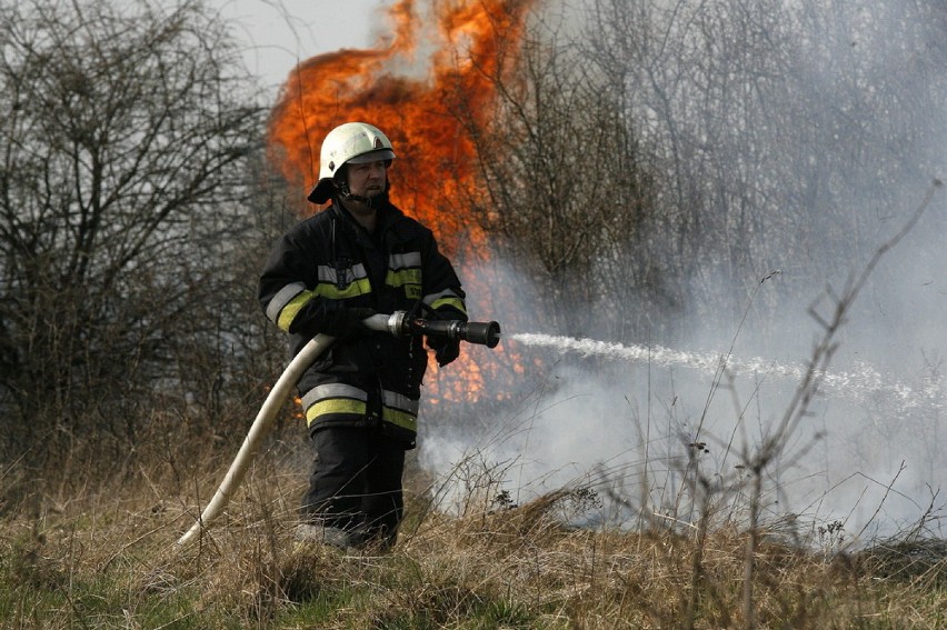 Pożar traw w Legnicy