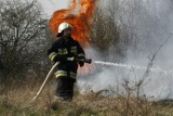 Pożar traw w Legnicy (ZDJĘCIA)