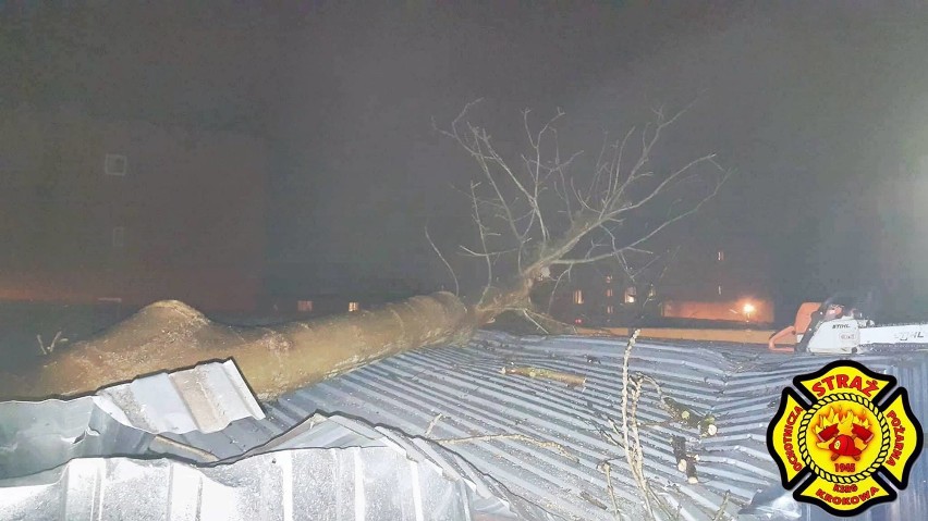 Kłanino: Drzewo spadło na trzy blaszane garaże