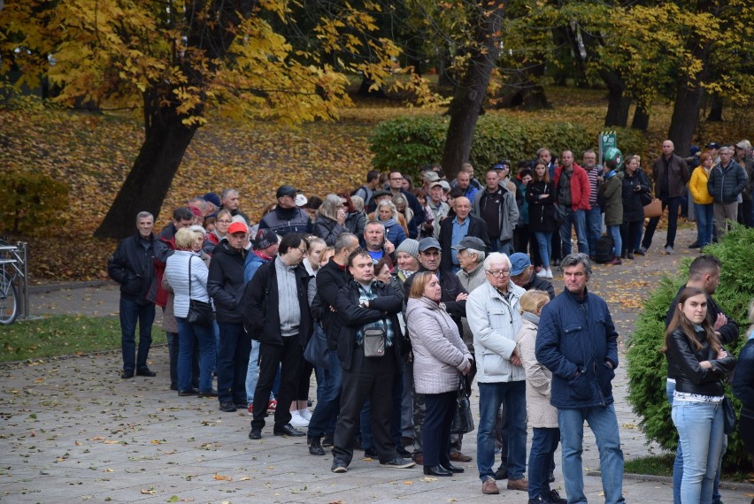 Setki białostoczan w kolejce po jabłonie, wiśnie i czereśnie. Miasto po raz kolejny rozdało mieszkańcom sadzonki (zdjęcia)