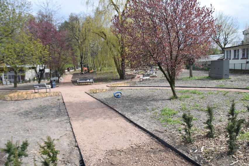 Duży postęp prac w remontowanym Parku Sybiraków w...