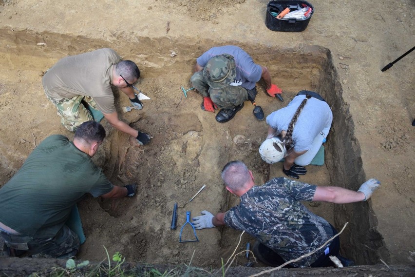 Badania archeologiczne na terenie zapomnianego cmentarza z...