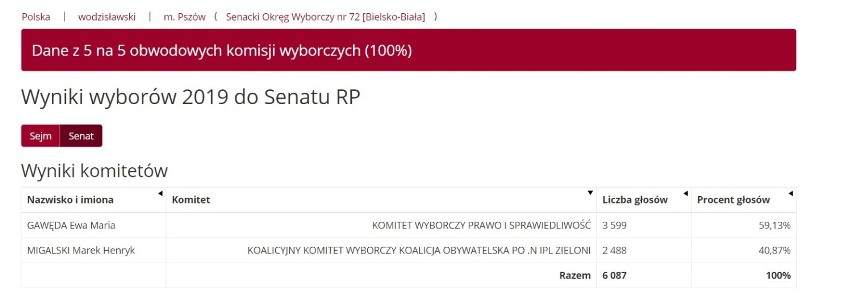 Wyniki wyborów 2019 w Wodzisławiu Śląskim - dane oficjalne! Kto dostał się do Sejmu i Senatu? [Wodzisław Śląski WYNIKI PKW]