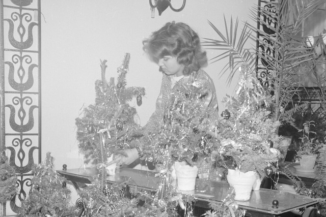 Tak dekorowano mieszkania w PRL-u. Na zdjęciu: przygotowywanie stroików na Boże Narodzenie. Lata 1968-1970.