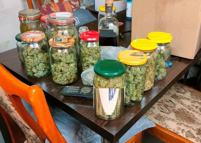 35-letni mieszkaniec Inowrocławia w mieszkaniu uprawiał konopie i posiadał spore zbiory marihuany.