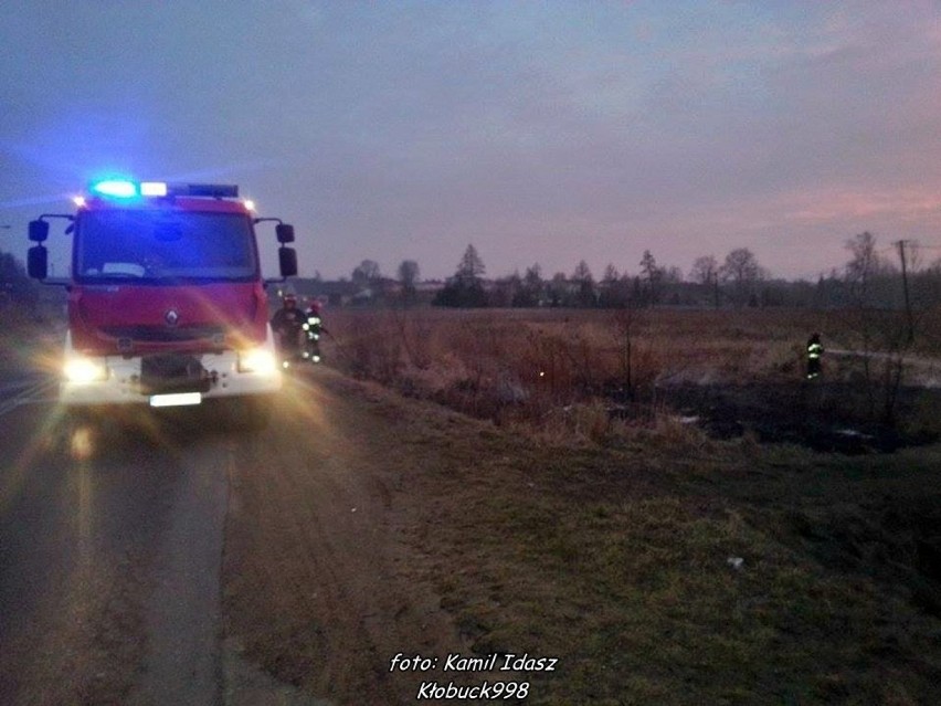 Pożar suchych traw w Łobodnie [FOTO]
