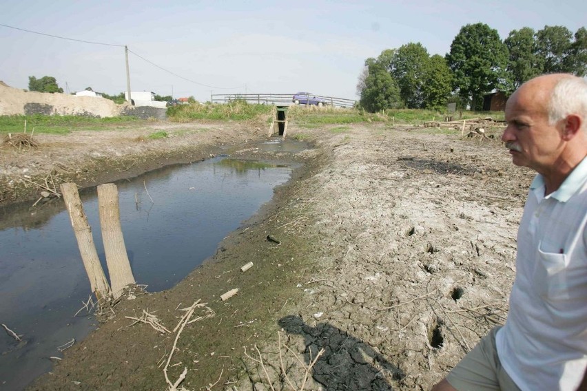 Bomba ekologiczna w Paniówkach: Tysiące ryb zdycha, bo ze stawu wypompowano wodę. Kto je uratuje?