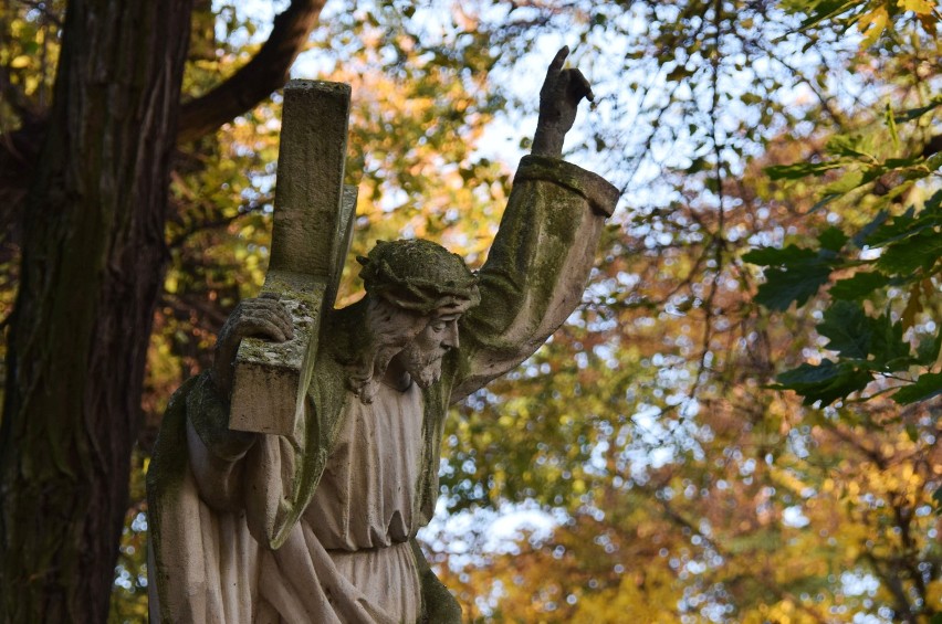Stary Cmentarz w Krośnie. Zabytkowe nagrobki wśród wiekowych drzew [ZDJĘCIA]