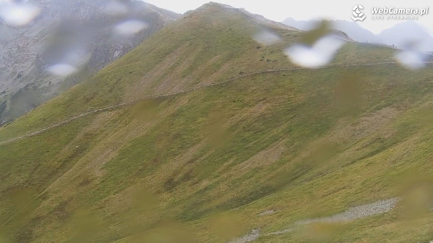 Zakopane pustoszeje. Ostatni wakacyjny weekend żegna turystów deszczem 