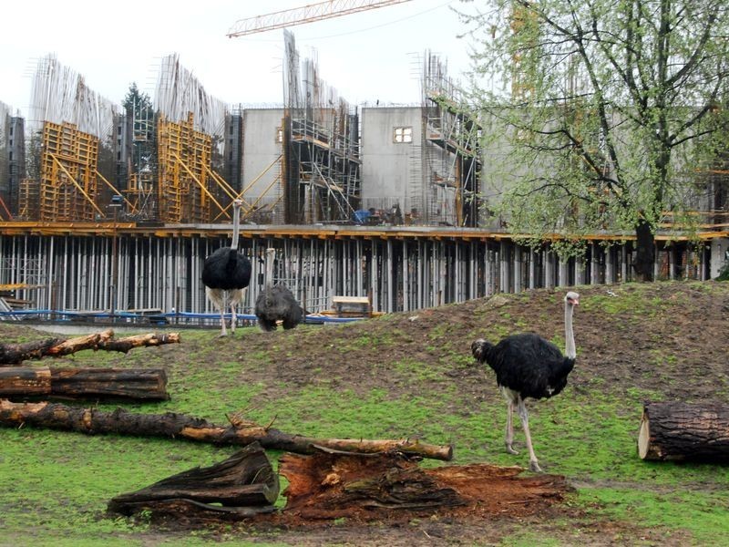 Afrykarium - zoo Wrocław