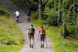 Głogowianie jadą w góry. Majowy trekking przez czeską część Sudetów