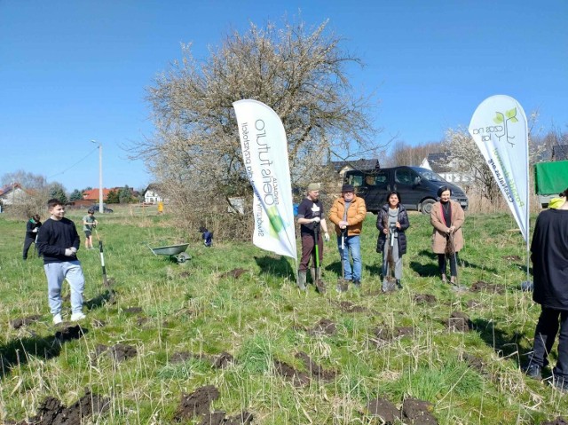 Akcja sadzenia drzew w Brzeziu w gminie Zabierzów