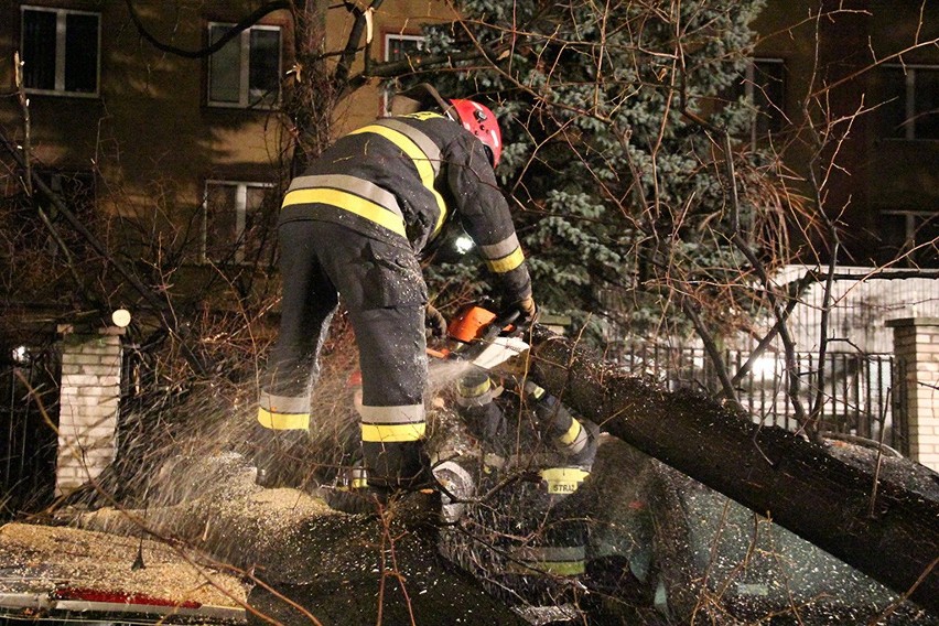 Bielsko-Biała: drzewo zniszczyło aż cztery samochody [ZDJĘCIA]