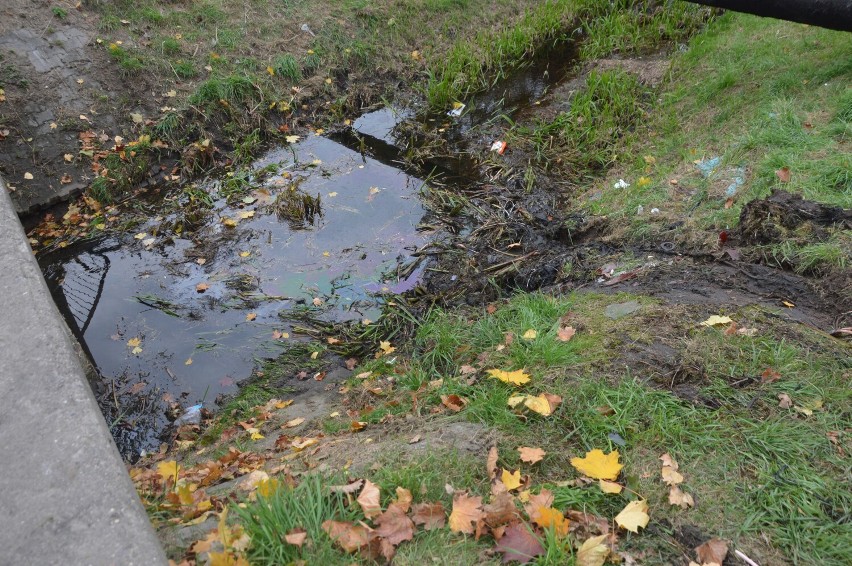 Bełchatów. Pijany kierowca "zaparkował" w rzece