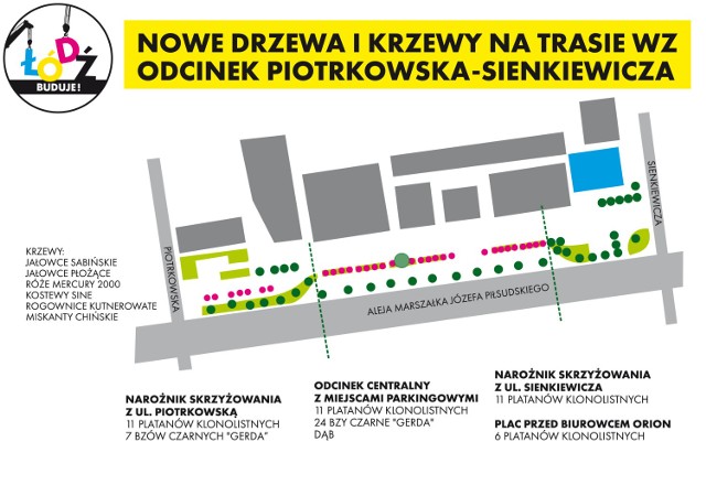 Na odcinku Piotrkowska-Sienkiewicza posadzonych zostanie 71 drzew
