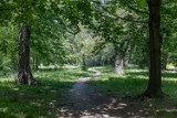 „Mieszkańcy muszą walczyć o każdy skrawek zieleni”. Radni zobowiązali prezydenta Krakowa do wykupu gruntów pod parki i lasy 