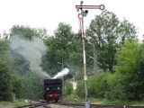 Miłośnicy kolei chcą uratować historyczny odcinek linii 104 Kasina Wielka - Tymbark. Byłaby to atrakcja na skalę europejską 