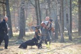 W Garczynie szkoliły się psy policyjne z całego Pomorza. Ma to związek z Euro 2012