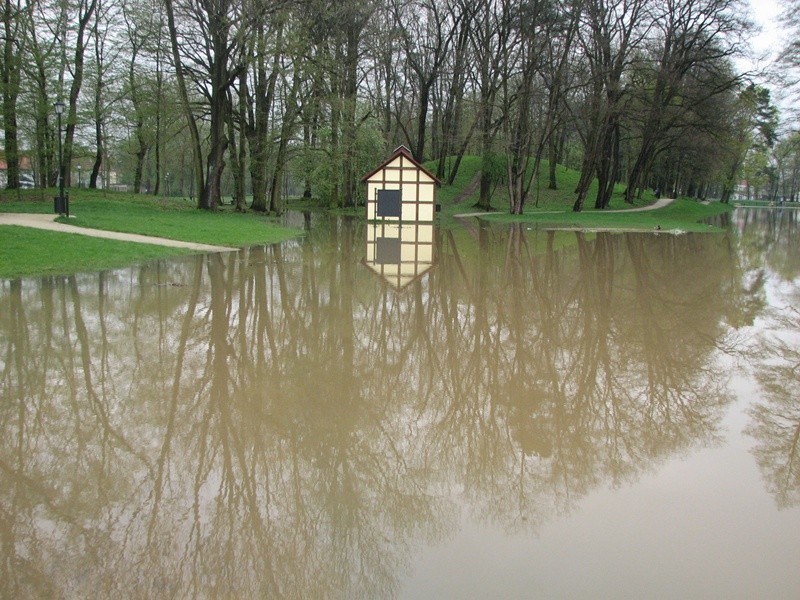 Syców: Park pod wodą