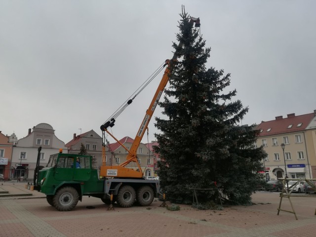 Obok niego stanie miś łomżatek, lokomotywa oraz nowość - domek Świętego Mikołaja. Na dniach zawisną ozdoby na latarniach. Udekorowane i podstawione zostaną także choinki w innych miejscach m.in. na bulwarach, Placu Niepodległości czy Rondzie Solidarności. Wszystkie ozdoby świąteczne w mieście mają być gotowe na mikołajki.