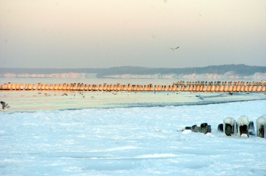 Zima w Ustce: Zobacz zdjęcia plaży zimą [FOTO]
